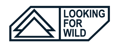 LOOKING FOR WILD